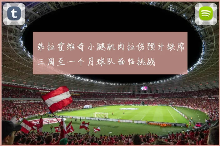 弗拉霍维奇小腿肌肉拉伤预计缺席三周至一个月球队面临挑战